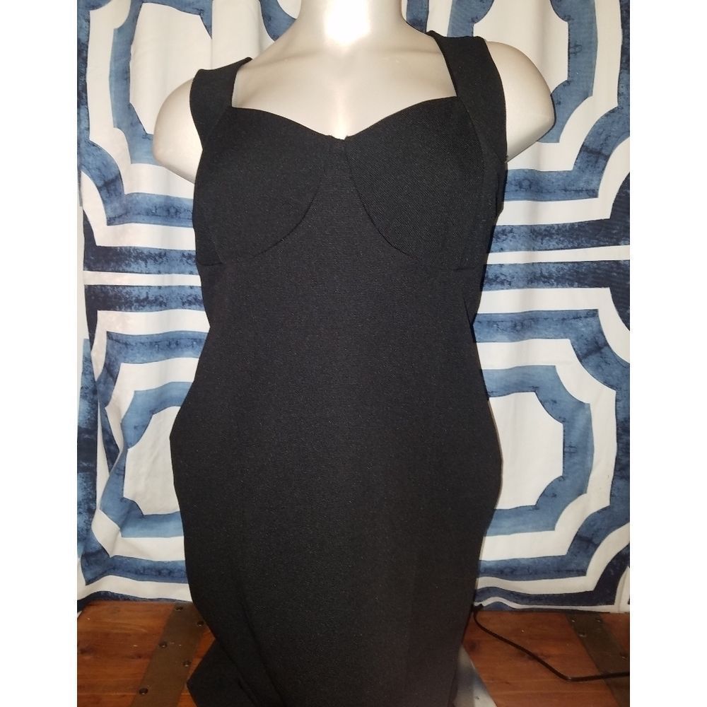 Plus size bodycon dress.